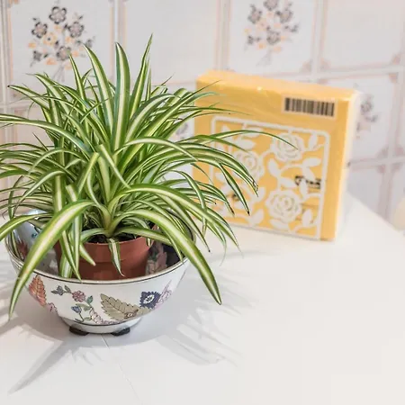 Guestready - Eclectic Haven In The Heart Of * Porto