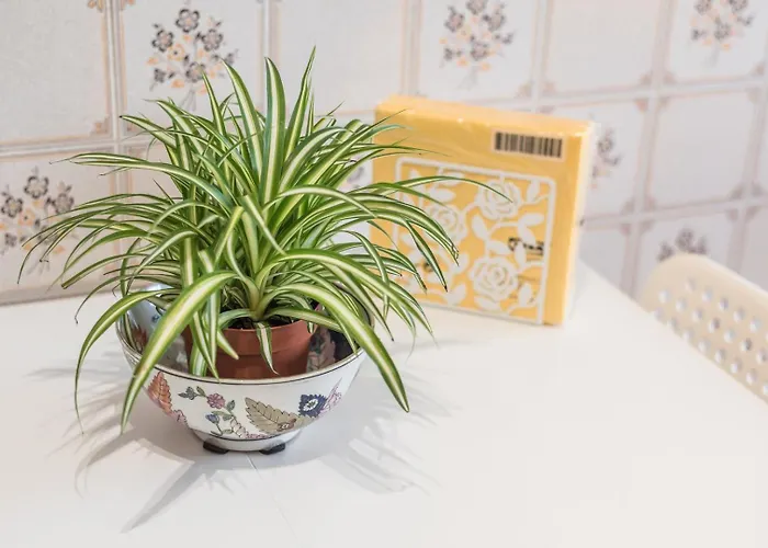 Guestready - Eclectic Haven In The Heart Of * פורטו